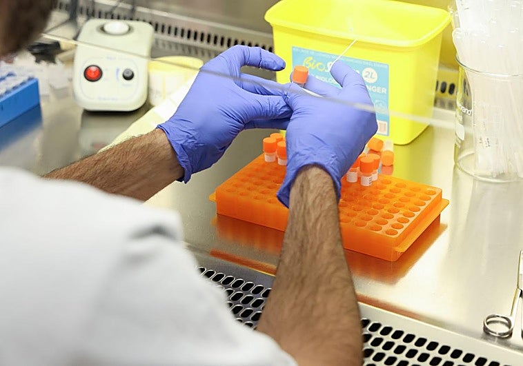 Sanidad insiste a la población en que se vacune para frenar la ola de gripe que viene